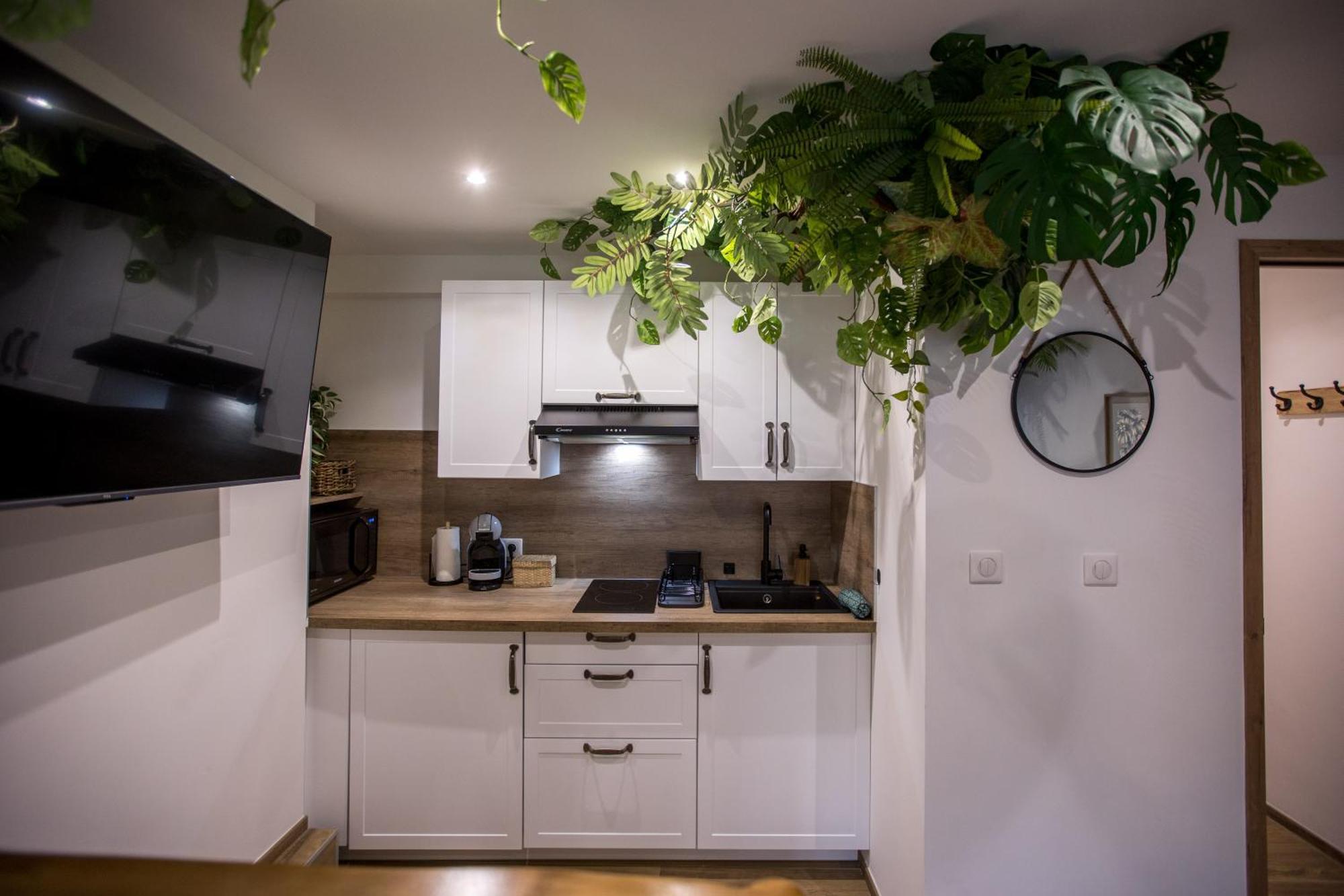 Jungle Room Cannes Exterior foto